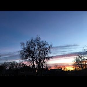 Meet your Posher, Sydney